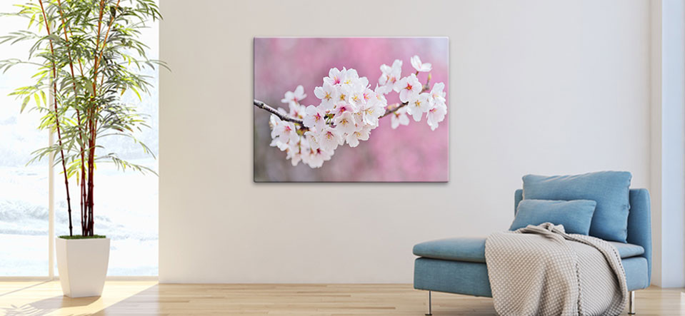 cheap metal prints appartment