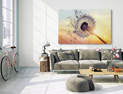 living room acrylic dandelion