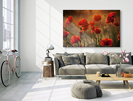 living room canvas flower meadow